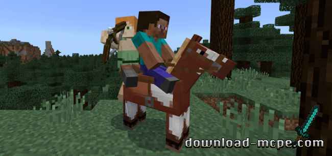 Мод 2 Player Horse Riding 1.2.8+