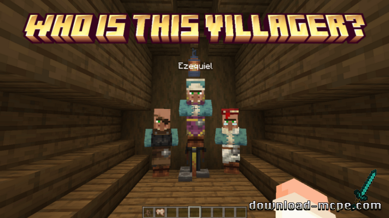 Мод Who's that villager 1.10+